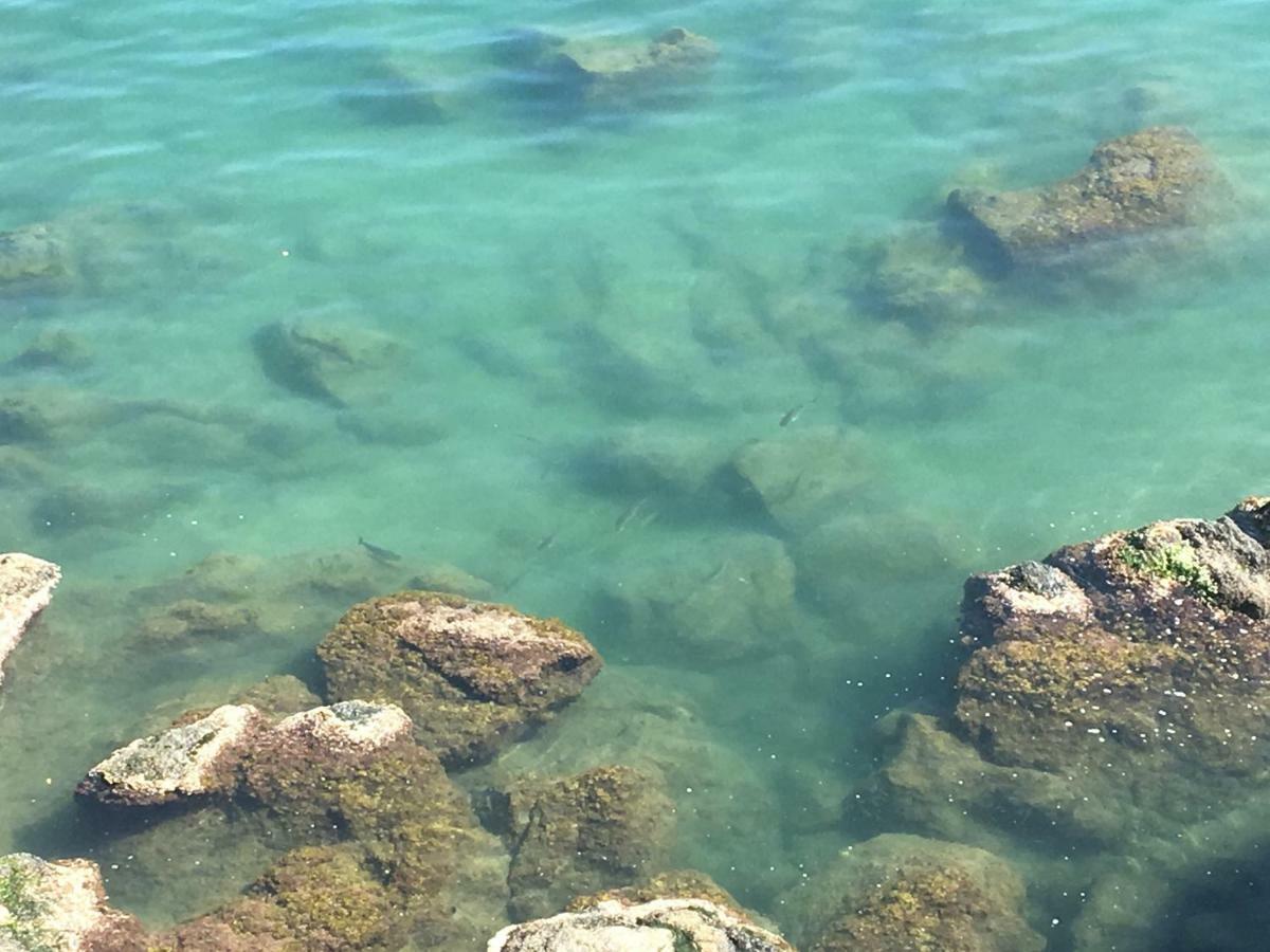 ג'נובה La Casetta Di Dory Sul Mare מראה חיצוני תמונה